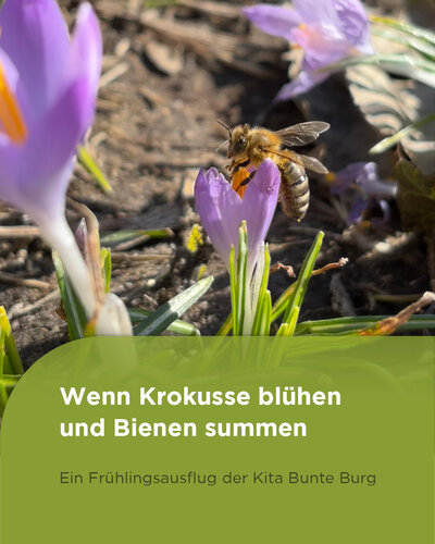  Die Kinder unserer Kita Bunte Burg waren unterwegs in der Umgebung und konnten beobachten, wie der Frühling Einzug...